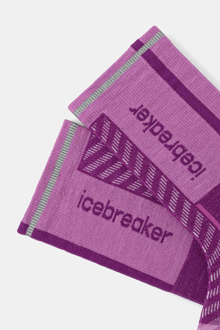 Шкарпетки Icebreaker Merino Blend Run+ Ultralight IB0A56VM0D91