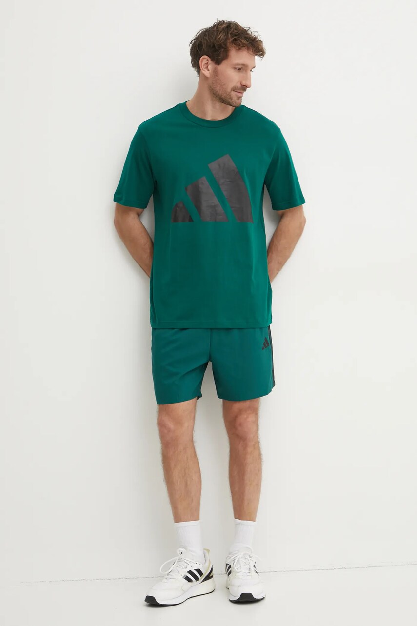Шорти adidas Chelsea чоловічі колір зелений JW1910